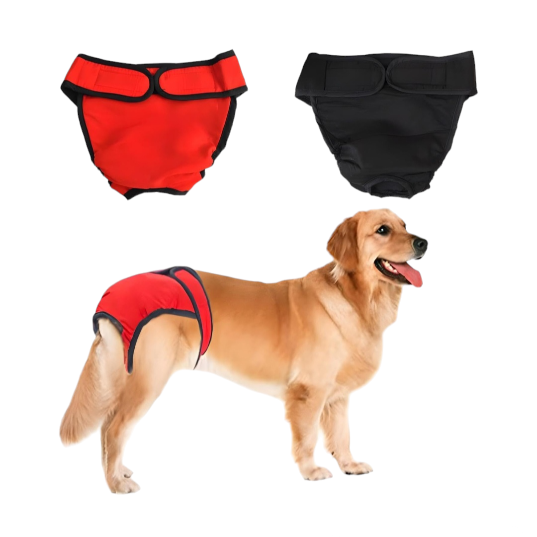 Dog season knickers best sale