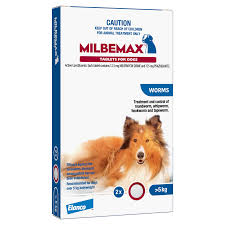 Milbemax allwormer best sale