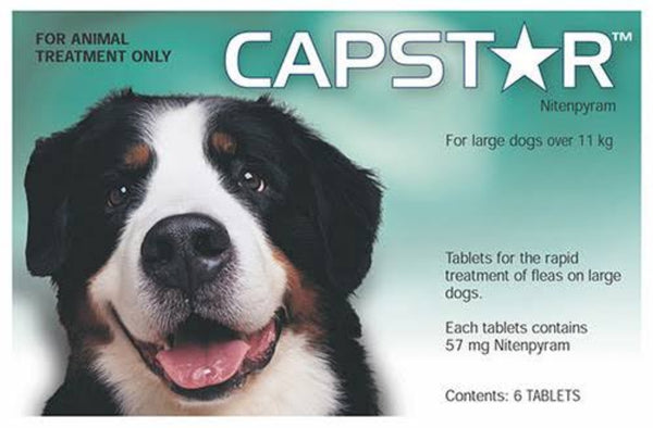 Capstar for 2024 pregnant dogs