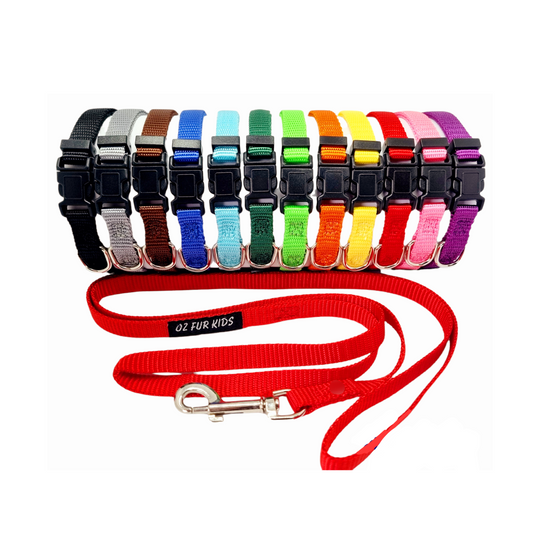 Puppy ID Collars & Optional Leads - Solid Colours