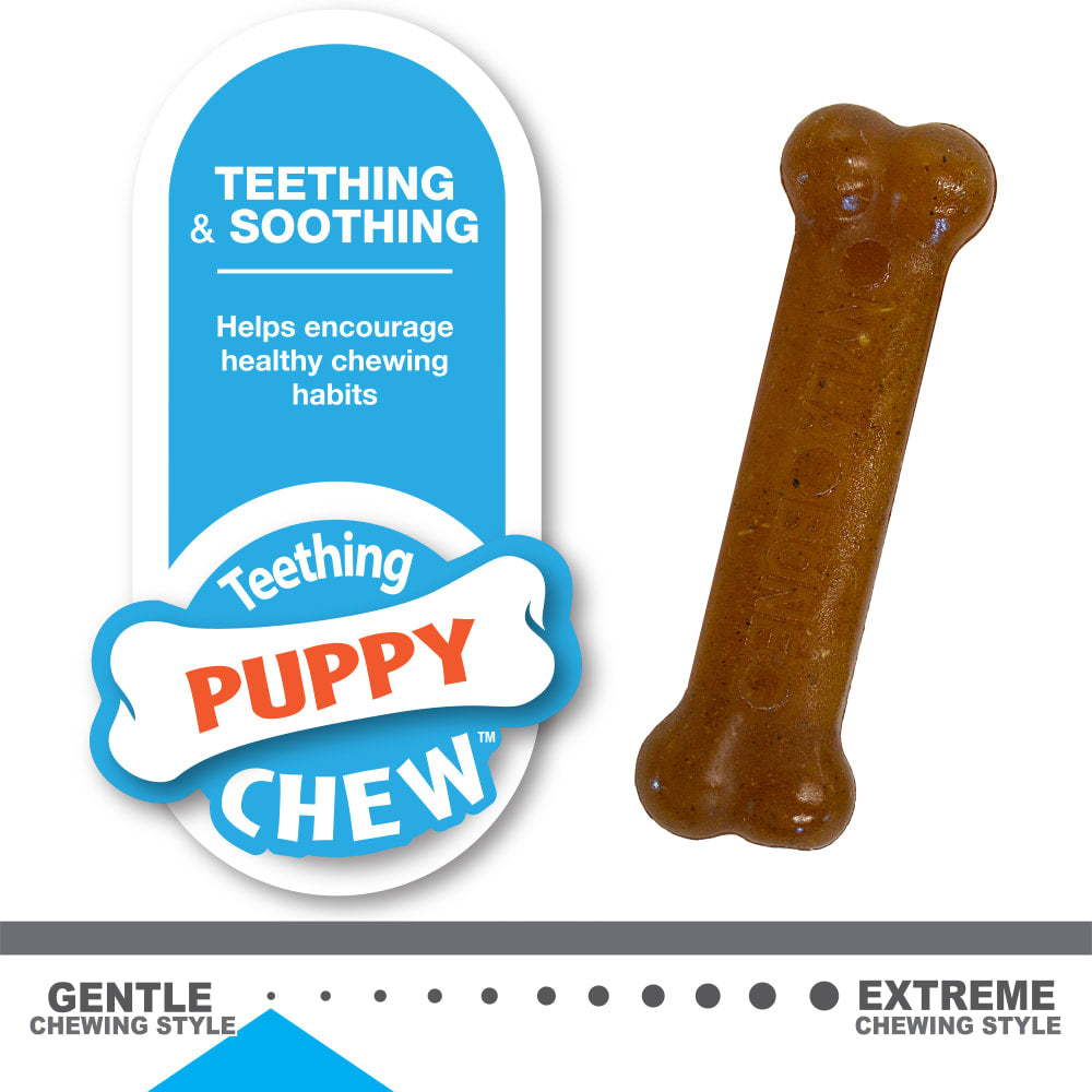 Nylabone Classic Puppy Twin Pack