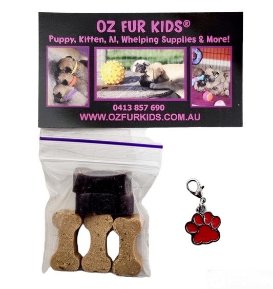 Puppy Gift Pack