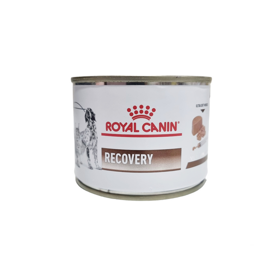 Royal Canin Recovery 195gm  - Dog and Cat