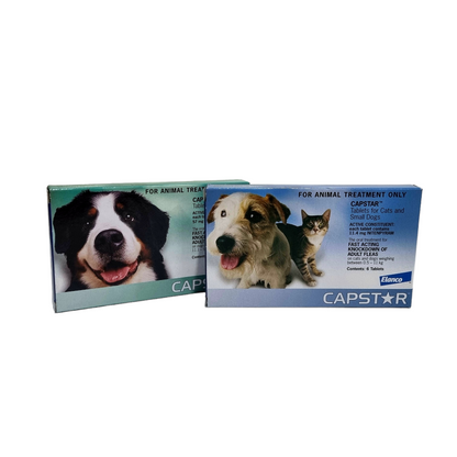 Capstar Large Dog Flea Treatment