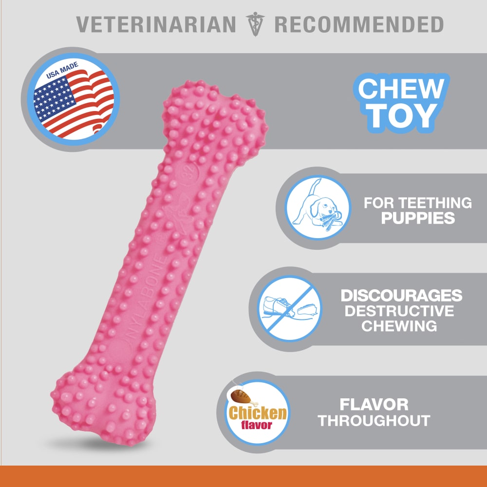 Nylabone Puppy Petite in Blue or Pink