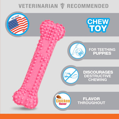 Nylabone Puppy Petite in Blue or Pink