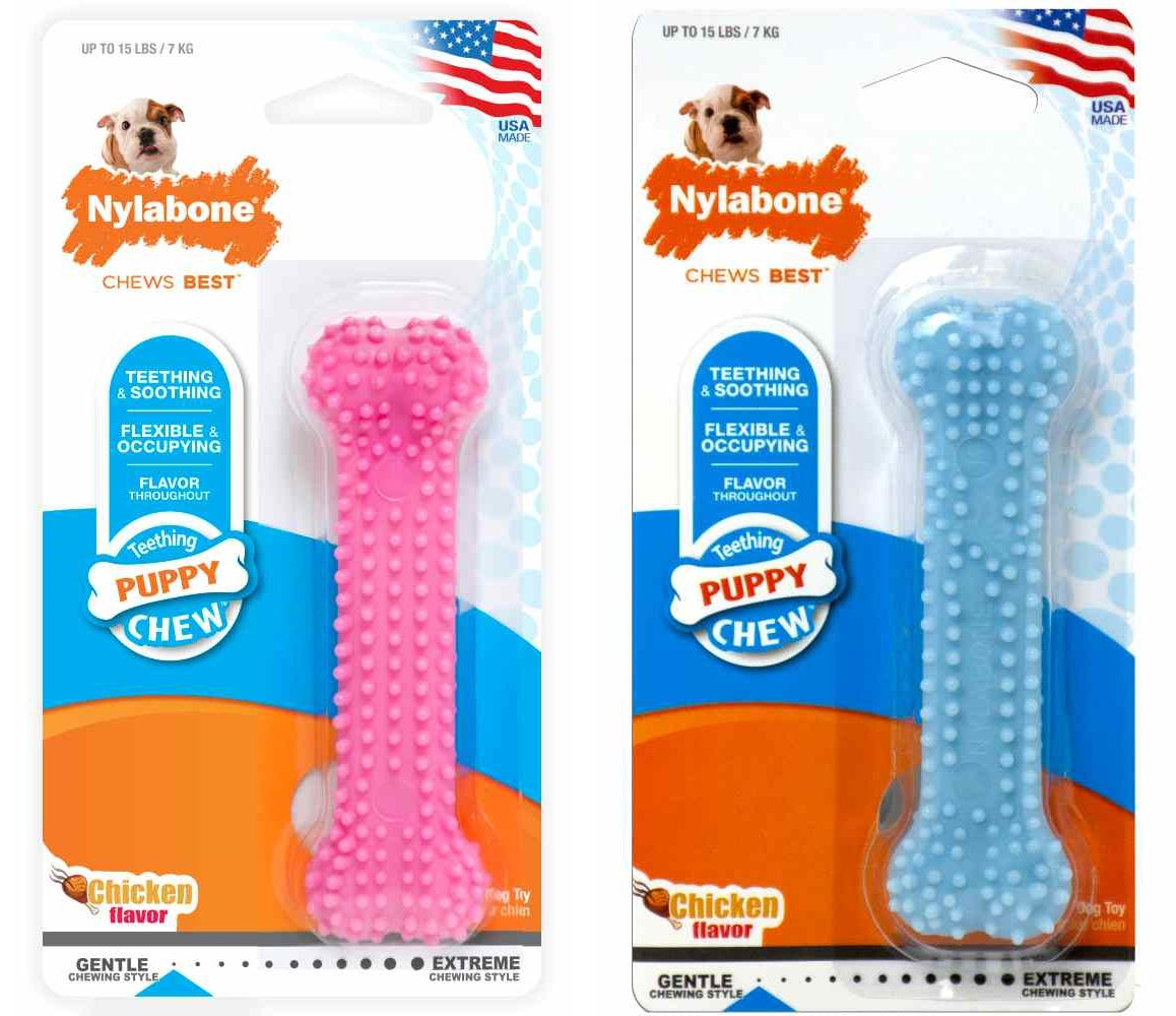 Nylabone Puppy Petite in Blue or Pink