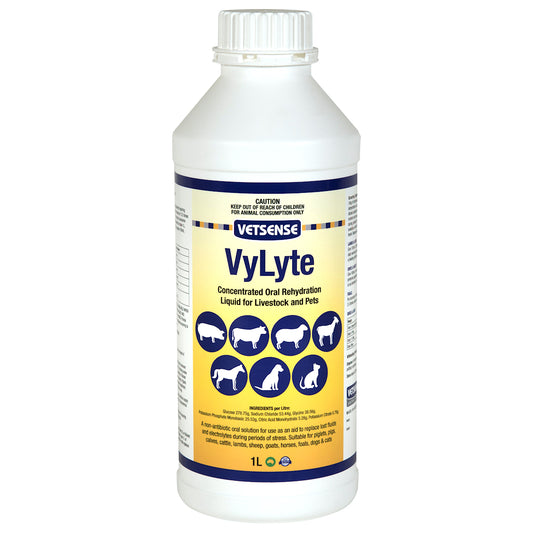 Vetsense VyLyte 250mL