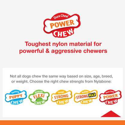 Nylabone Pro Action Dental Power Chew Bacon Flavour