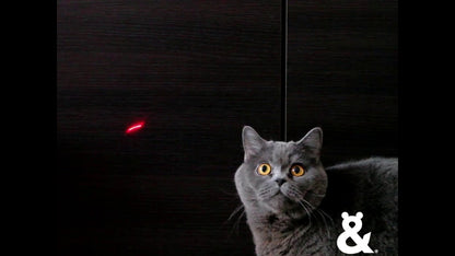 Rufus & Coco Cat Laser Pointer Toy - Rechargable