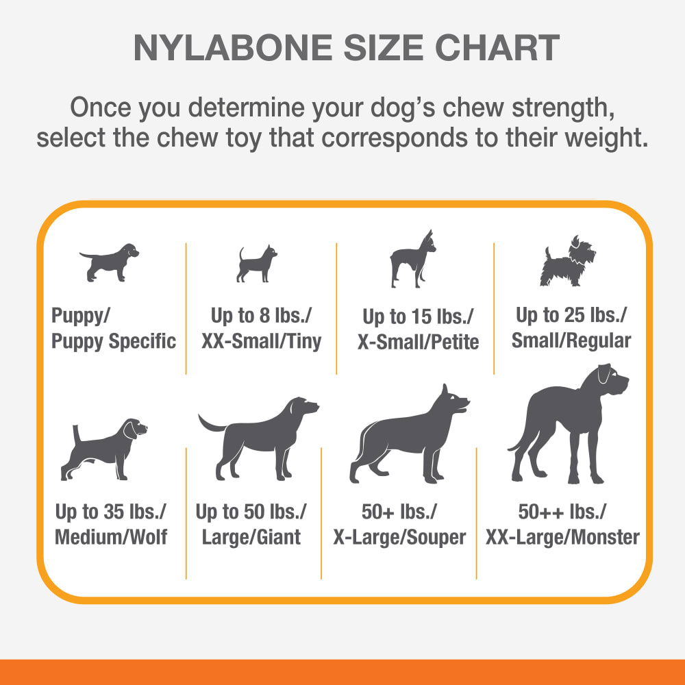 Nylabone Classic Puppy Twin Pack