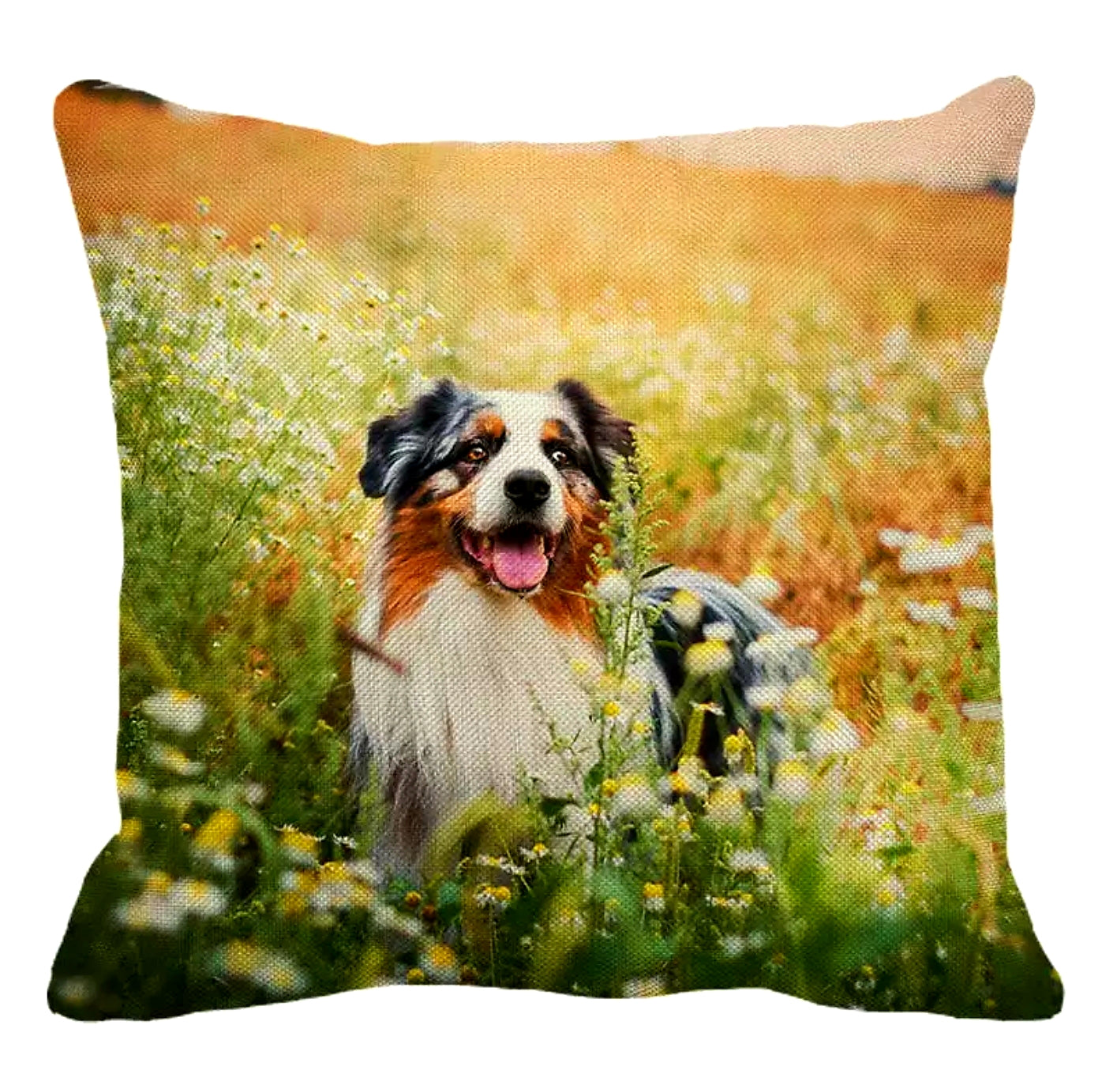 SALE Cushion Covers - Various Breeds Available