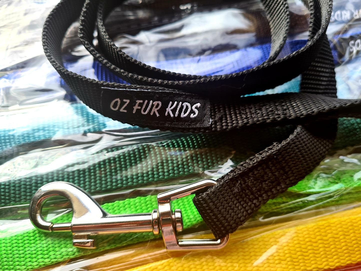 Puppy ID Collars - Puppy Paws Extra Large with Optional Leads