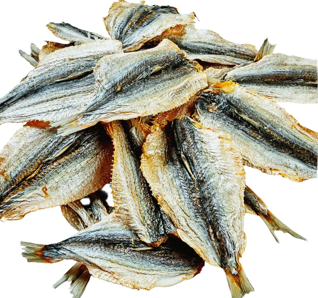 Dried Sardines Australian