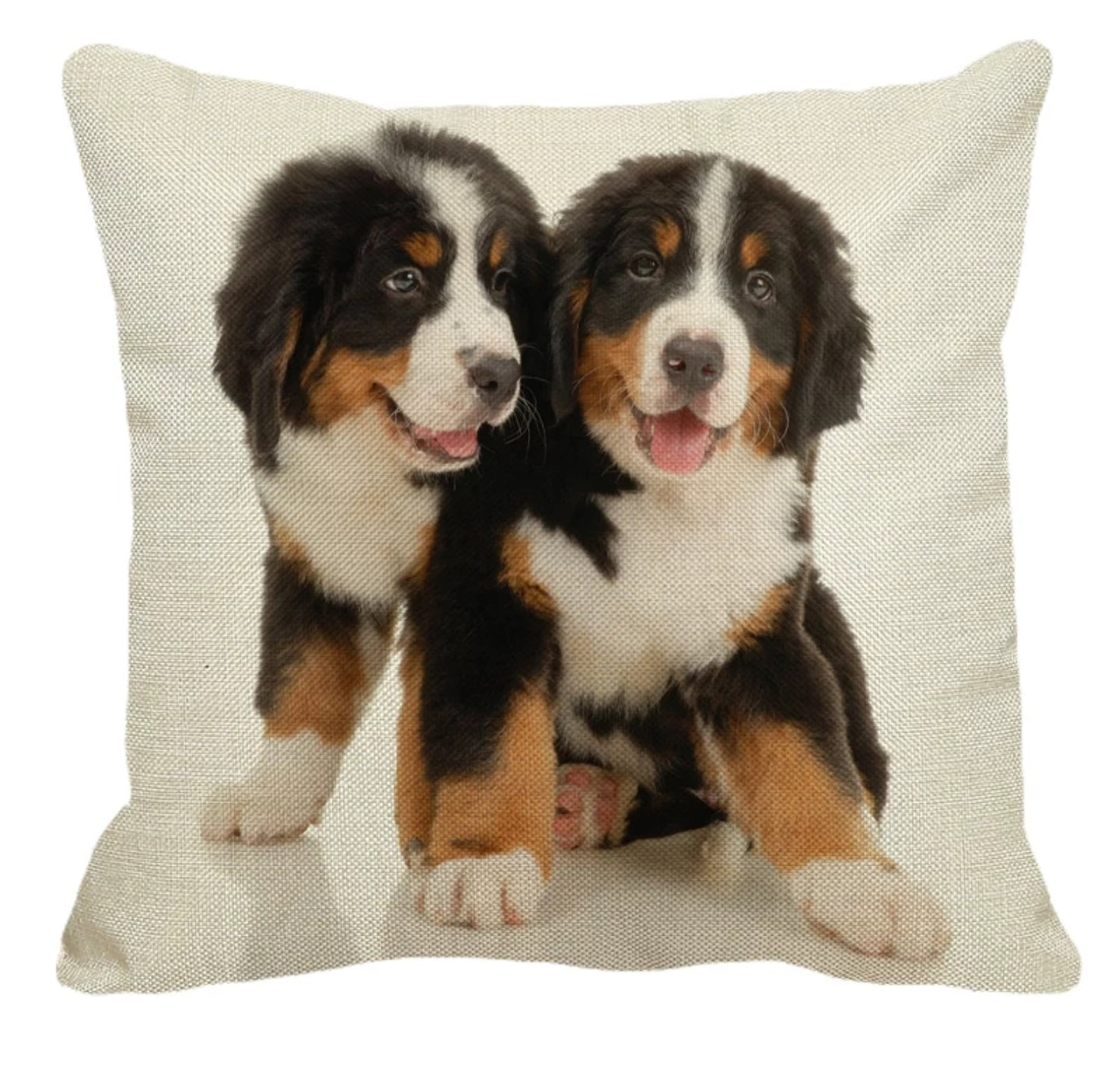 SALE Cushion Covers - Various Breeds Available