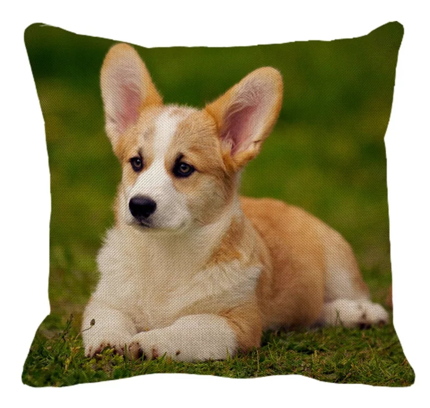 SALE Cushion Covers - Various Breeds Available