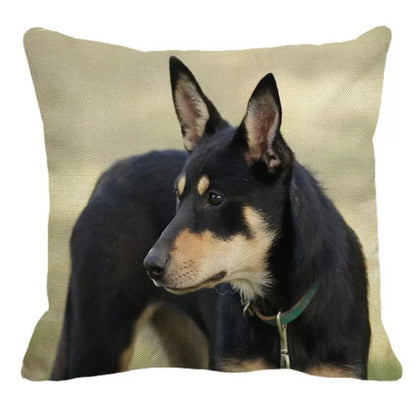 SALE Cushion Covers - Various Breeds Available