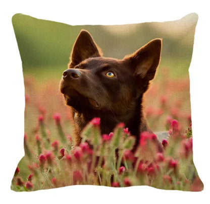 SALE Cushion Covers - Various Breeds Available