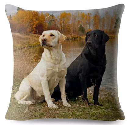 SALE Cushion Covers - Various Breeds Available