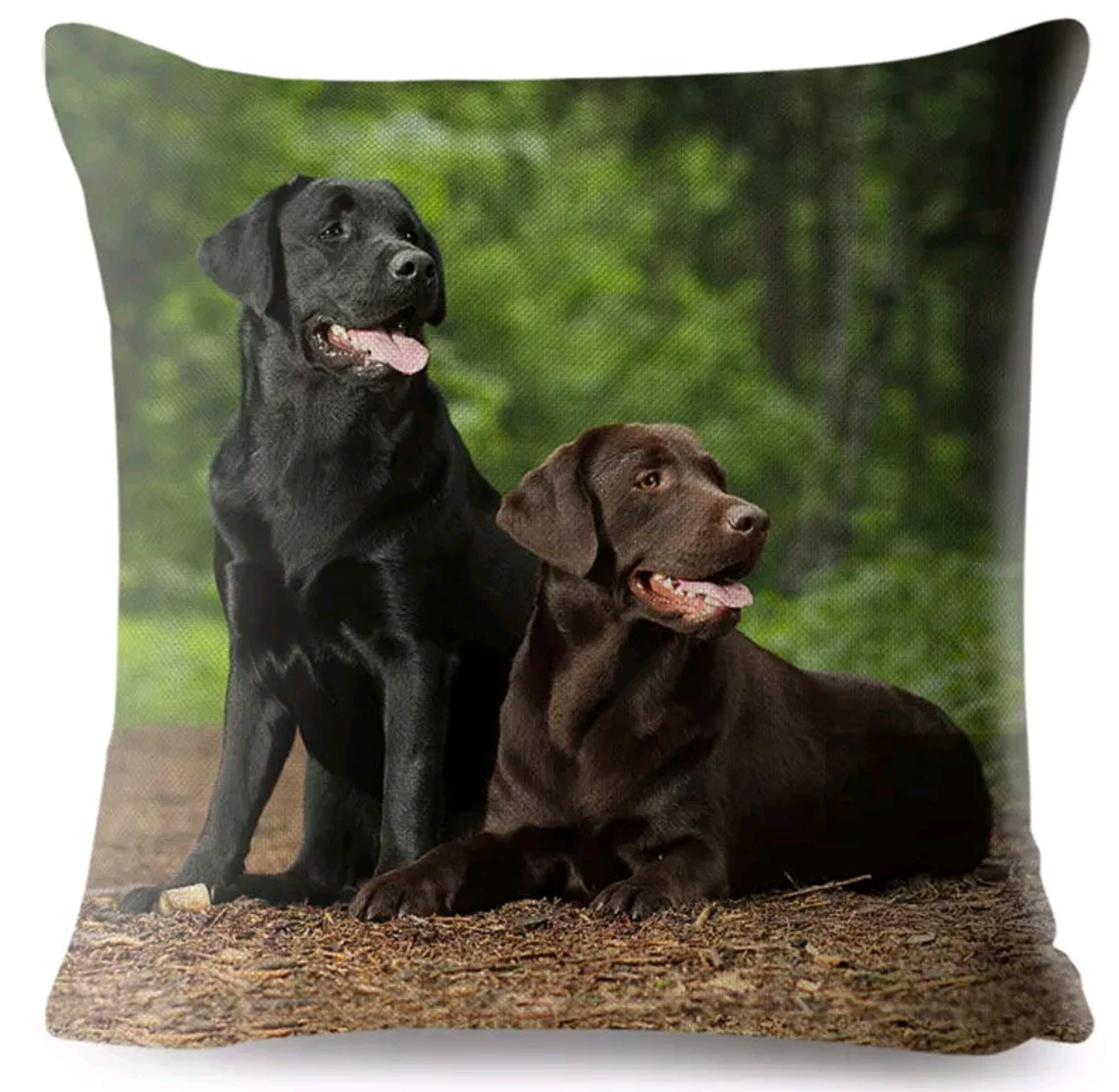 SALE Cushion Covers - Various Breeds Available