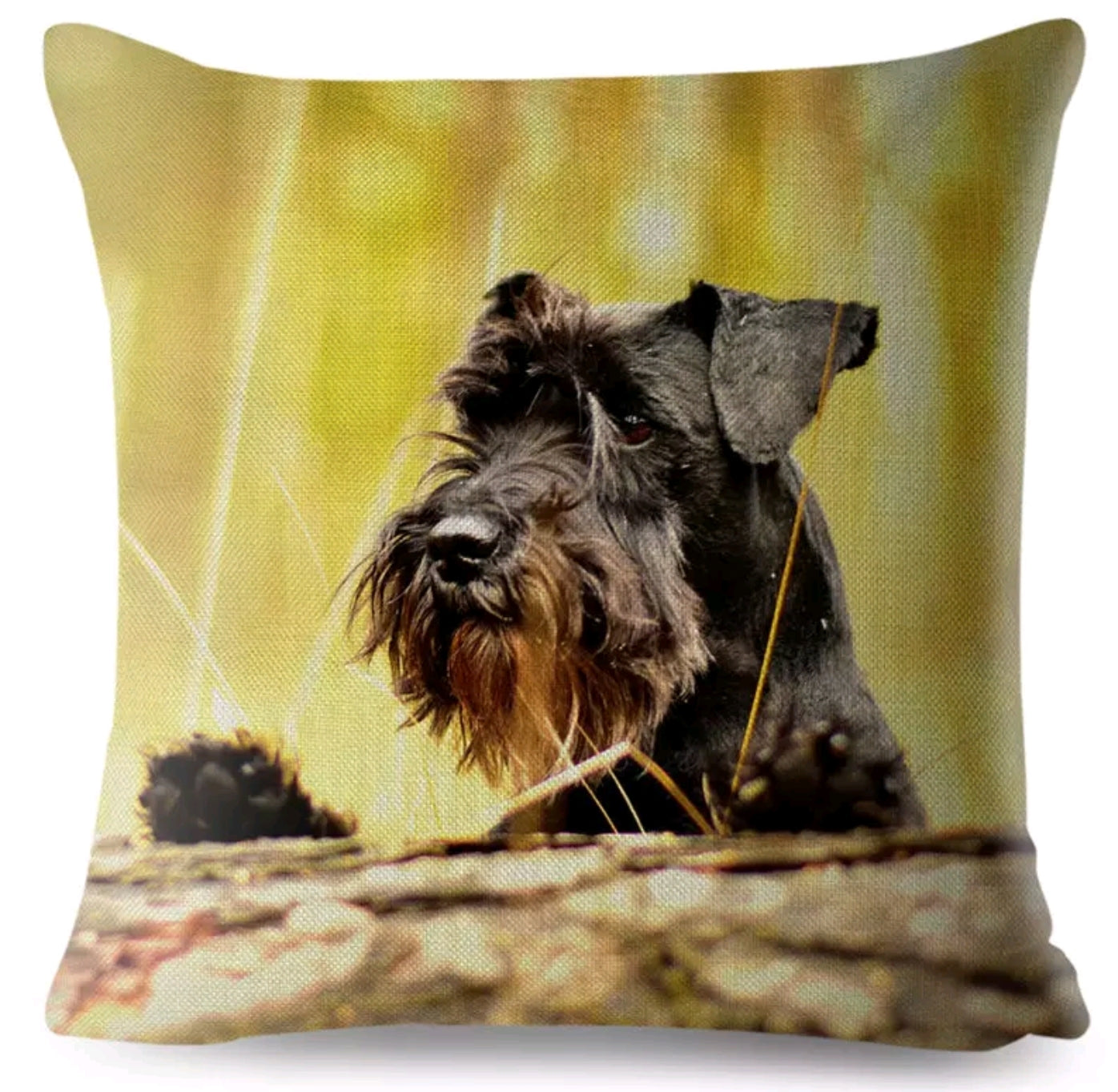 SALE Cushion Covers - Various Breeds Available