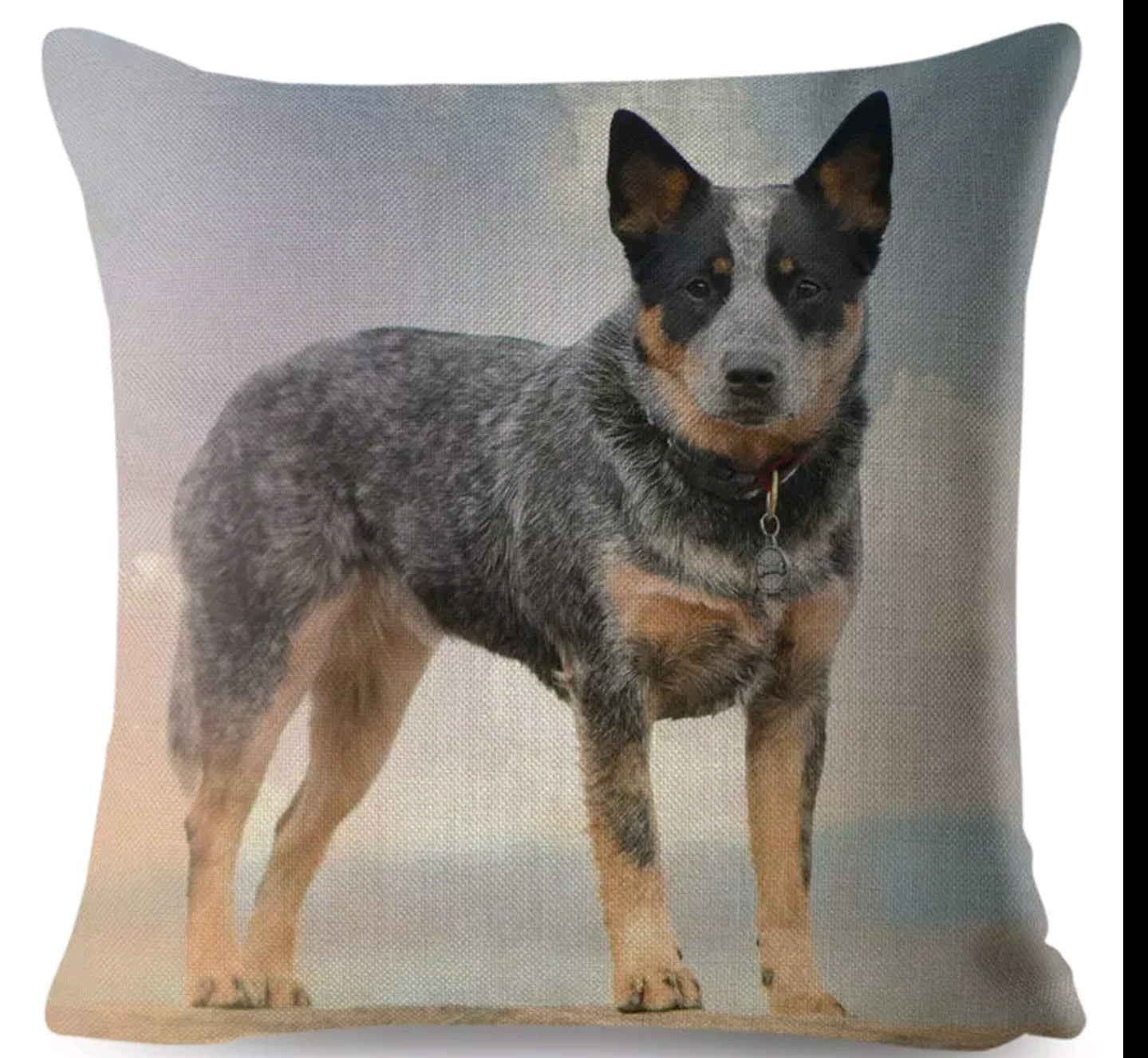 SALE Cushion Covers - Various Breeds Available