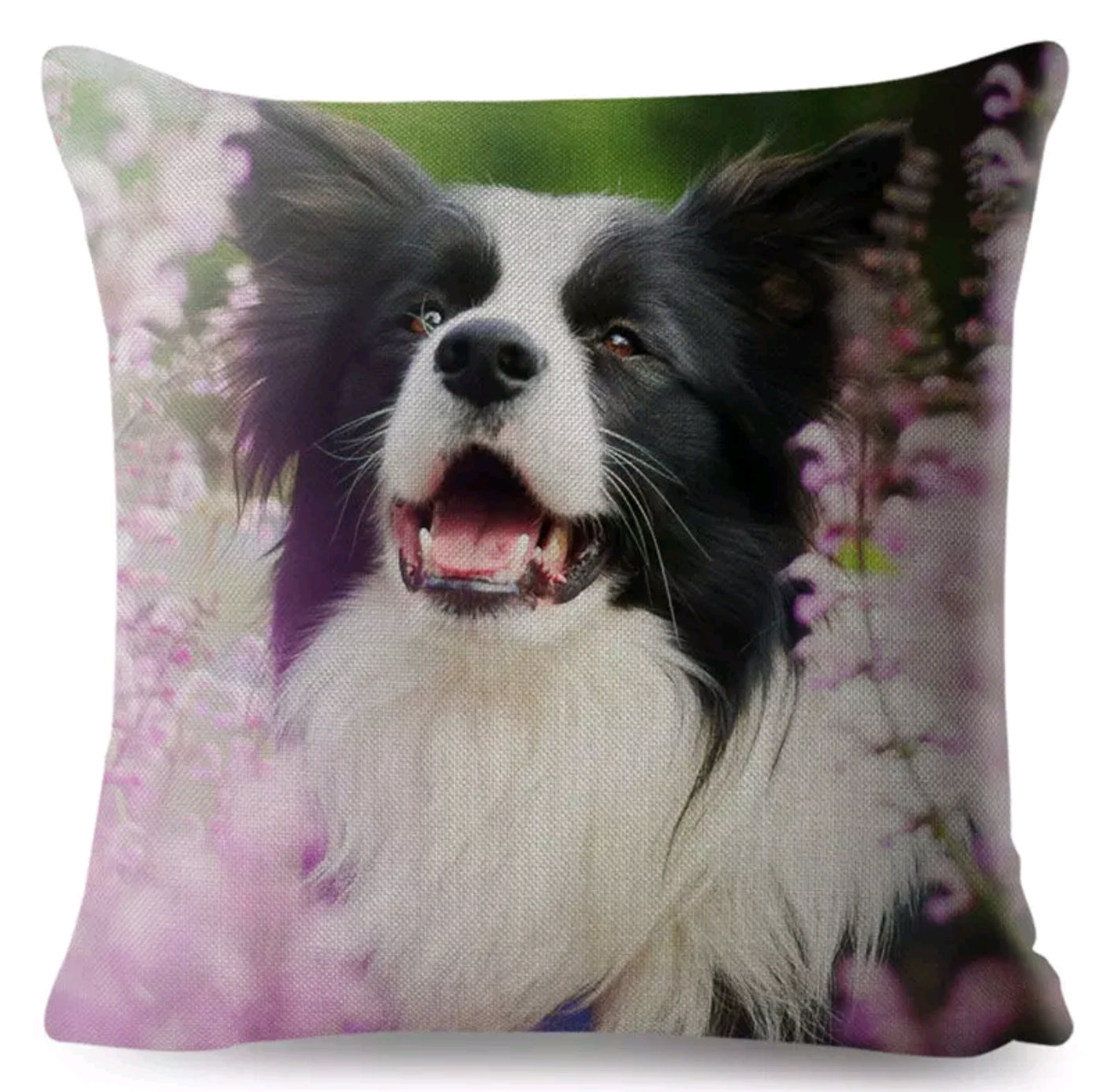 SALE Cushion Covers - Various Breeds Available