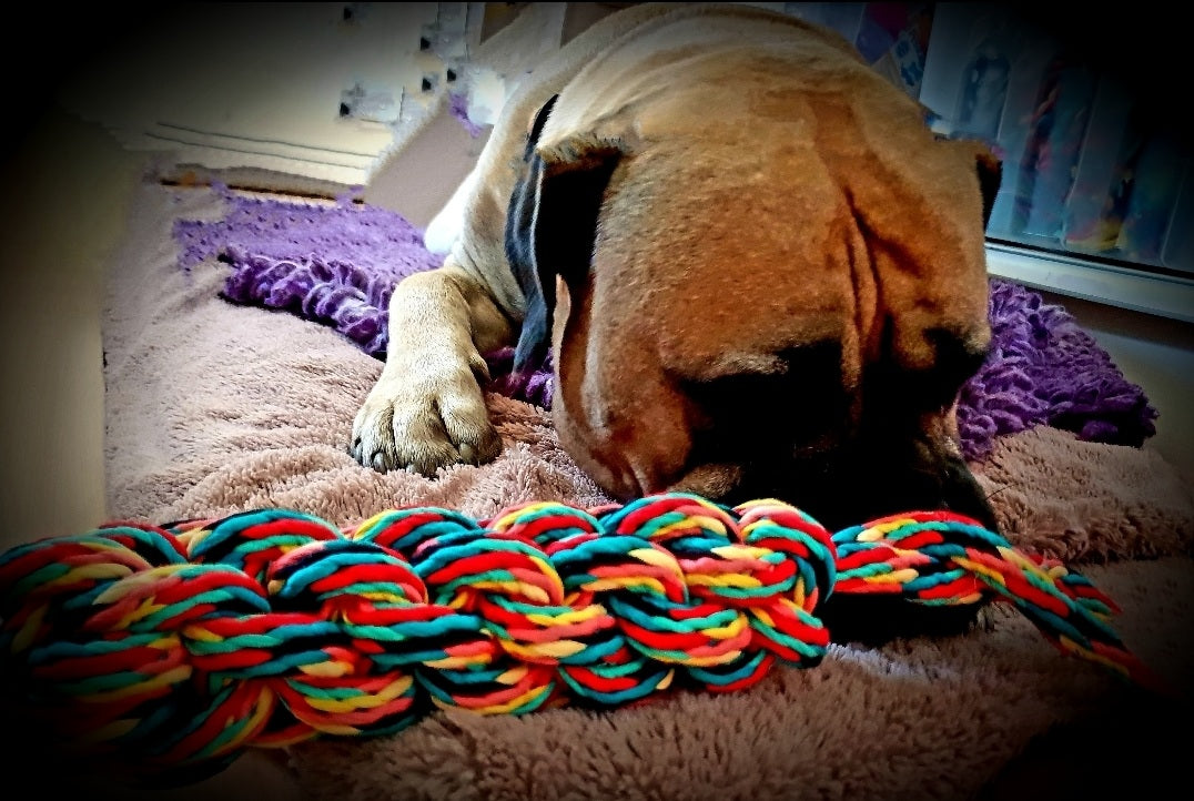 Pawplay Stretch Fleece Tug Rope Tough Chewers!