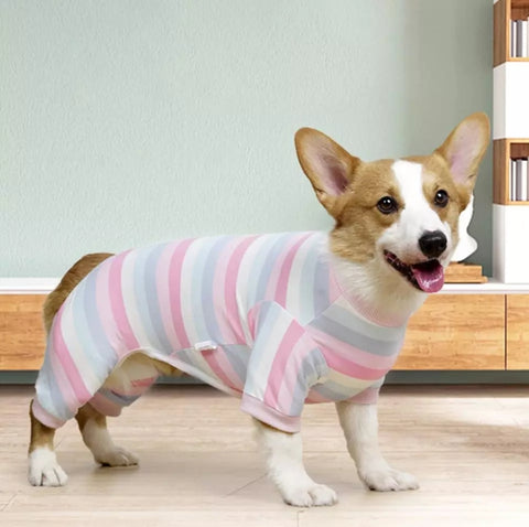 Dog best sale weaning shirt