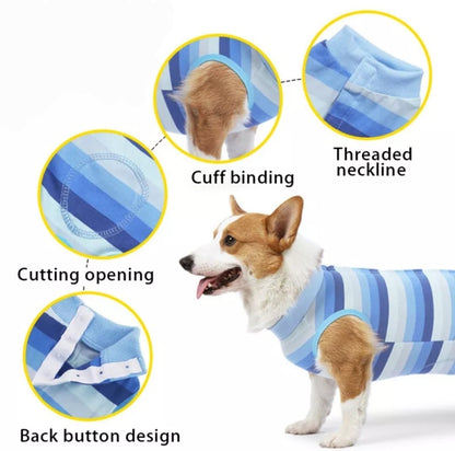Recovery Suit Dog - Mastitis, Weaning, Spey, Neuter - Small Dog