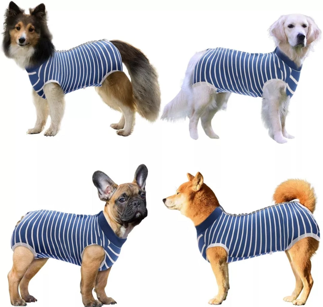 Recovery Suit Dog - Mastitis, Weaning, Spey, Neuter - Blue Stripe Snap Button
