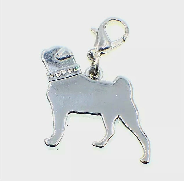 Pet Key Tags