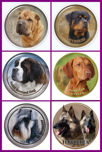 Stickers - Breeds Q to Z