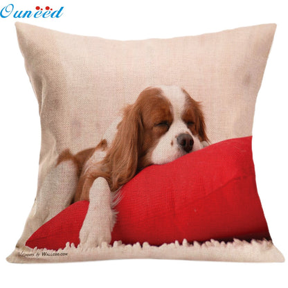 SALE Cushion Covers - Various Breeds Available