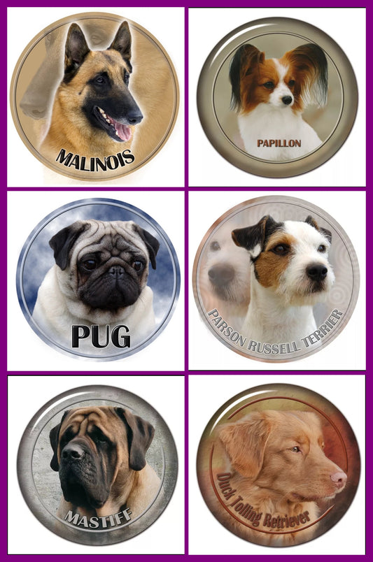 Stickers - Breeds M to P