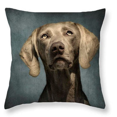 SALE Cushion Covers - Various Breeds Available